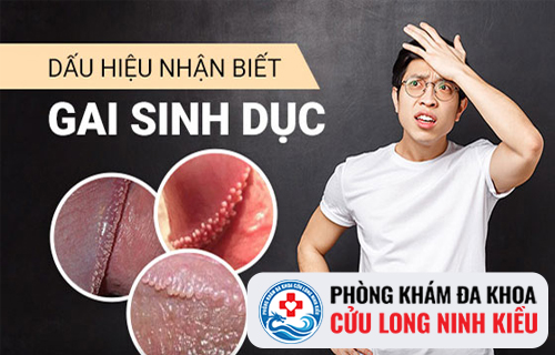 Những hình ảnh nhận biết gai sinh dục ở nam giới và nữ giới