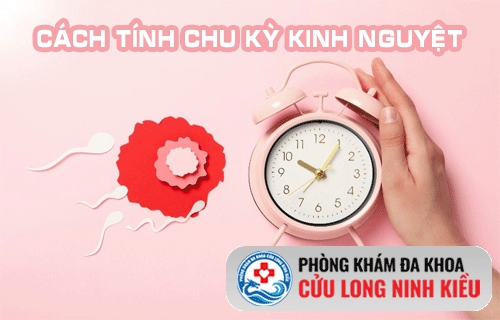 Cách tính chu kỳ kinh nguyệt để quan hệ an toàn