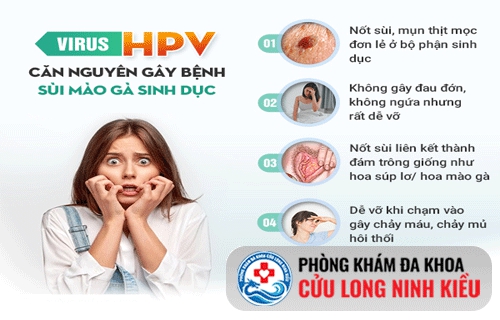 Dấu hiệu sùi mào gà trên cơ thể