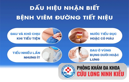 4 Dấu hiệu của viêm đường tiết niệu ở nữ giới