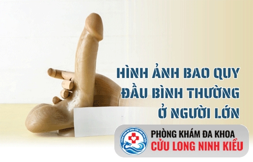 Bao quy đầu bình thường như thế nào?