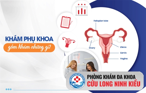 Khám phụ khoa bao gồm những gì? - Các lưu ý khi khám phụ khoa