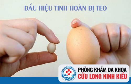 Teo tinh hoàn do nguyên nhân nào gây ra