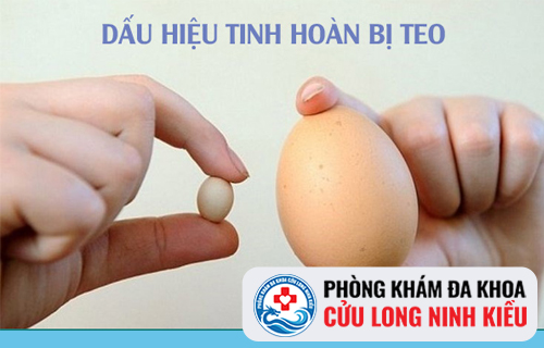 Tinh hoàn nhỏ gây vô sinh ở nam giới
