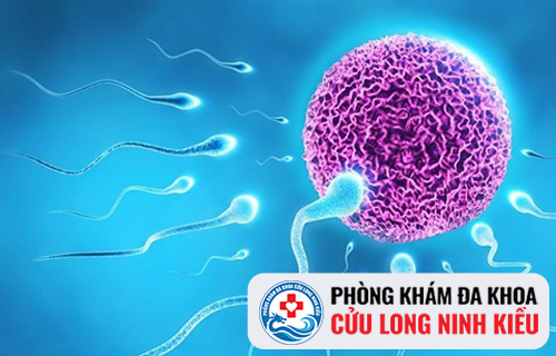 Tinh trùng xanh là dấu hiệu của bệnh gì và cách điều trị ra sao?