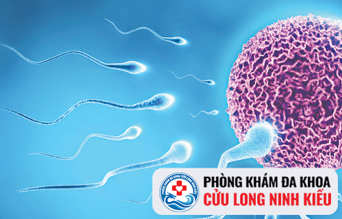 Vì sao nam giới lại bị hiếm muộn?