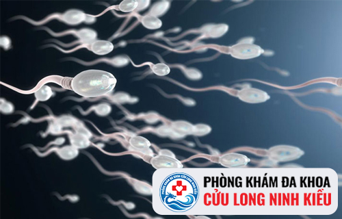 Phương pháp điều trị hiếm muộn an toàn, hiệu quả cho nam giới