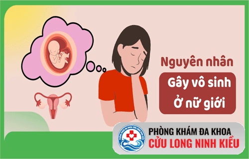 Bệnh vô sinh ở nữ giới là gì? Có chữa được không ?