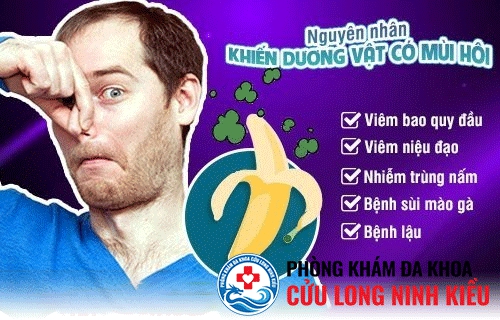 Tại sao dương vật có mùi hôi và đau rát ?