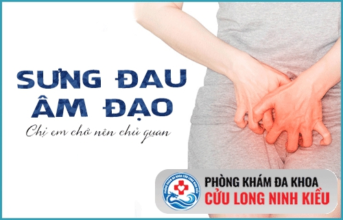 Nguyên nhân gây sưng vùng kín ở chị em phụ nữ