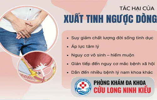 Hiện tượng xuất tinh ngược là gì? Mối đe dọa thầm lặng đến khả năng sinh sản